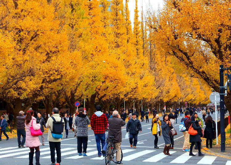 Autumn Japan